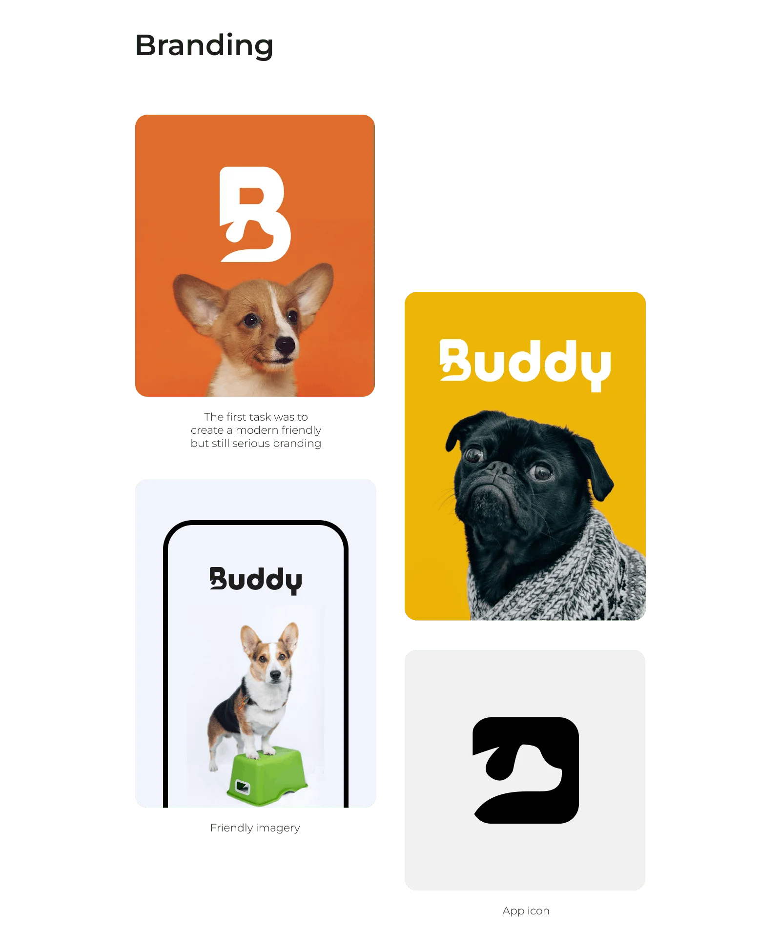 Buddy Project Images